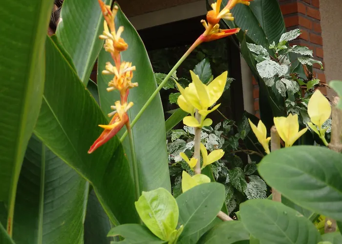 Tirta Sari Guest house